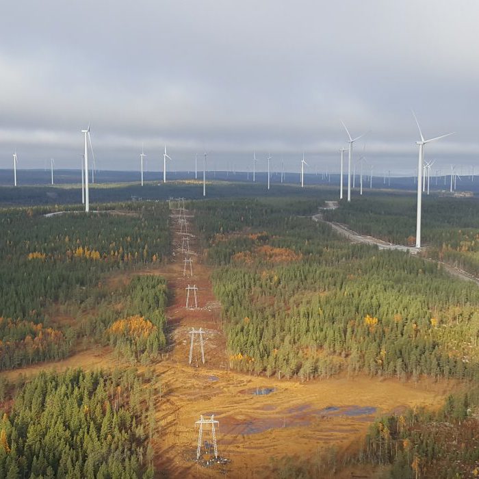 A wide landscape view of a wind farm with numerous wind turbines scattered across forested and open areas under a cloudy sky.